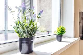 Апартаменты Nur-Sultan RAISSON APARTMENTS 86 Нур-Султан Апартаменты с 1 спальней-18